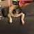 Erik Ramirez Ruiz's profile image