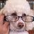 Linda Book's profile image