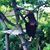 Johanna Ljungwaldh's profile image