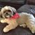 Patty Neason Love's profile image