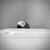 Susan Adams's profile image