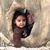 Jennifer Sue Gates-Lopez's profile image