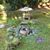 Dawn Brooks-Rapp's profile image