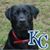 Boudreaux T Max's profile image