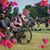 Denise Judd's profile image