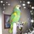 Julie Warnock Venturino's profile image