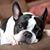 Adelaide Brint's profile image