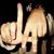 Miguel Galvez's profile image