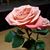 Sandy Vrubley-Rassel's profile image
