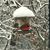 Laura Hutton's profile image