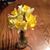 Mandy Bohlen Smith's profile image
