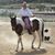 Cindy Hurley Giannini's profile image