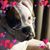 Clare Bennett-Olson's profile image