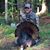 Brandon Trawick's profile image