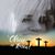 Sharon Kay Dodd's profile image