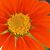 Teri Shirley Keeble's profile image