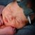 Shawna Evans Wyman's profile image