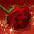 Susan Parson's profile image