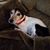 Michael Mcswain's profile image