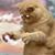 Jerome Leo Schefke's profile image