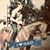 Lynn Hutcheson Deloach's profile image