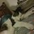 Libby Hodge's profile image
