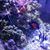 Jarrod Ethington's profile image