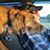 Kathleen Waldrep's profile image