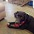Carolyn Dougherty's profile image