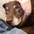 Kevin Bowles's profile image