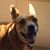 Renatta K. Martine's profile image