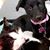 Megan Thurlby's profile image
