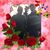 Donna Hansen's profile image