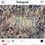 Barb Filips's profile image