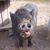 Angela Monterosso's profile image