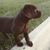 Marla Houser's profile image
