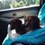 Weinette Reilly-Dog's profile image