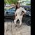 Nene Bailey's profile image
