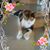 Linda Nutting's profile image