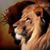 Jerry Knowles's profile image