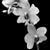 Katie Bullock's profile image