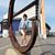 Martina Kerner's profile image