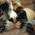 Cyndi Buell Horn's profile image