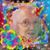 LaVerne Ryman's profile image