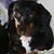 Sharlotte Otteson's profile image