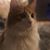 Ariel Moana Tinker's profile image