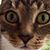 Lisa Imhoff's profile image