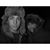 Cassidy Ohrt's profile image