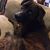 Heather Peabody's profile image