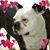 Colleen Wilt's profile image